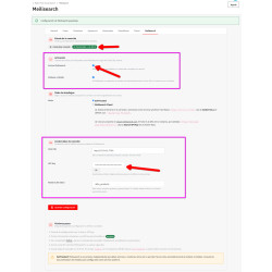 Modulo di ricerca visiva (non SaaS): il motore di ricerca intelligente self-hosted con opzione Meilisearch